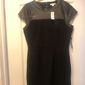 New York &Company Dress